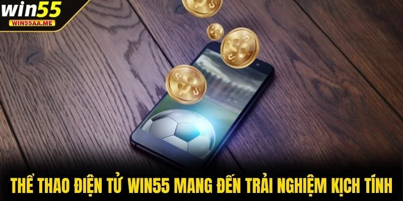Thể Thao Điện Tử WIN55 - Tỷ Lệ Thắng Cực Cao Đến 98% 2 Thể thao điện tử WIN55 mang đến trải nghiệm kịch tính