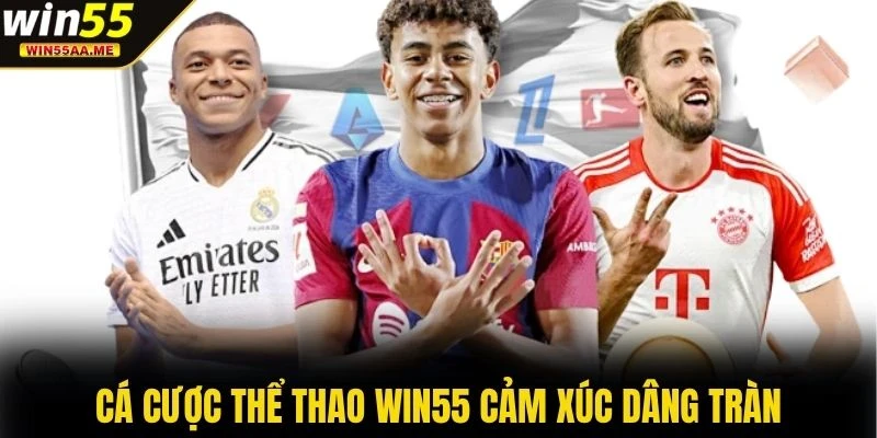 Cá cược thể thao WIN55 cảm xúc dâng tràn